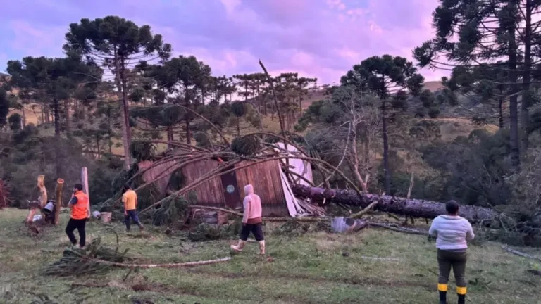 Tempestade em SC tem sinais de rotação e Defesa Civil investiga possível tornado