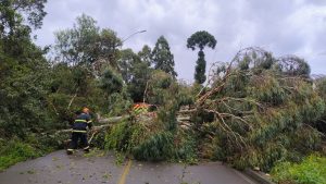 Forte temporal atinge Irani e mobiliza Bombeiros para destelhamentos e quedas de árvores