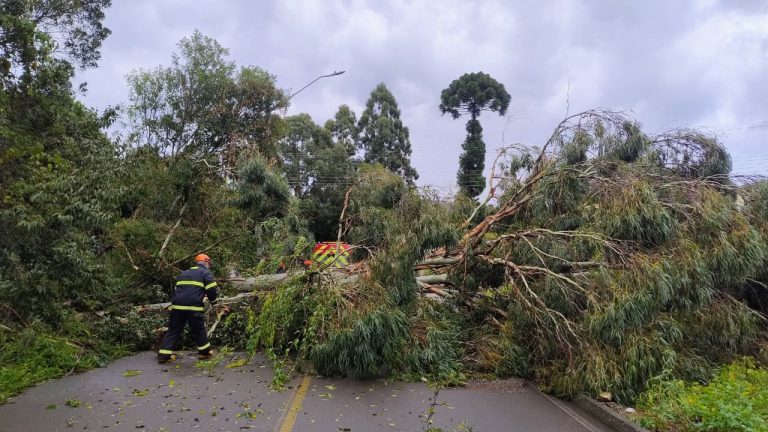 Forte temporal atinge Irani e mobiliza Bombeiros para destelhamentos e quedas de árvores