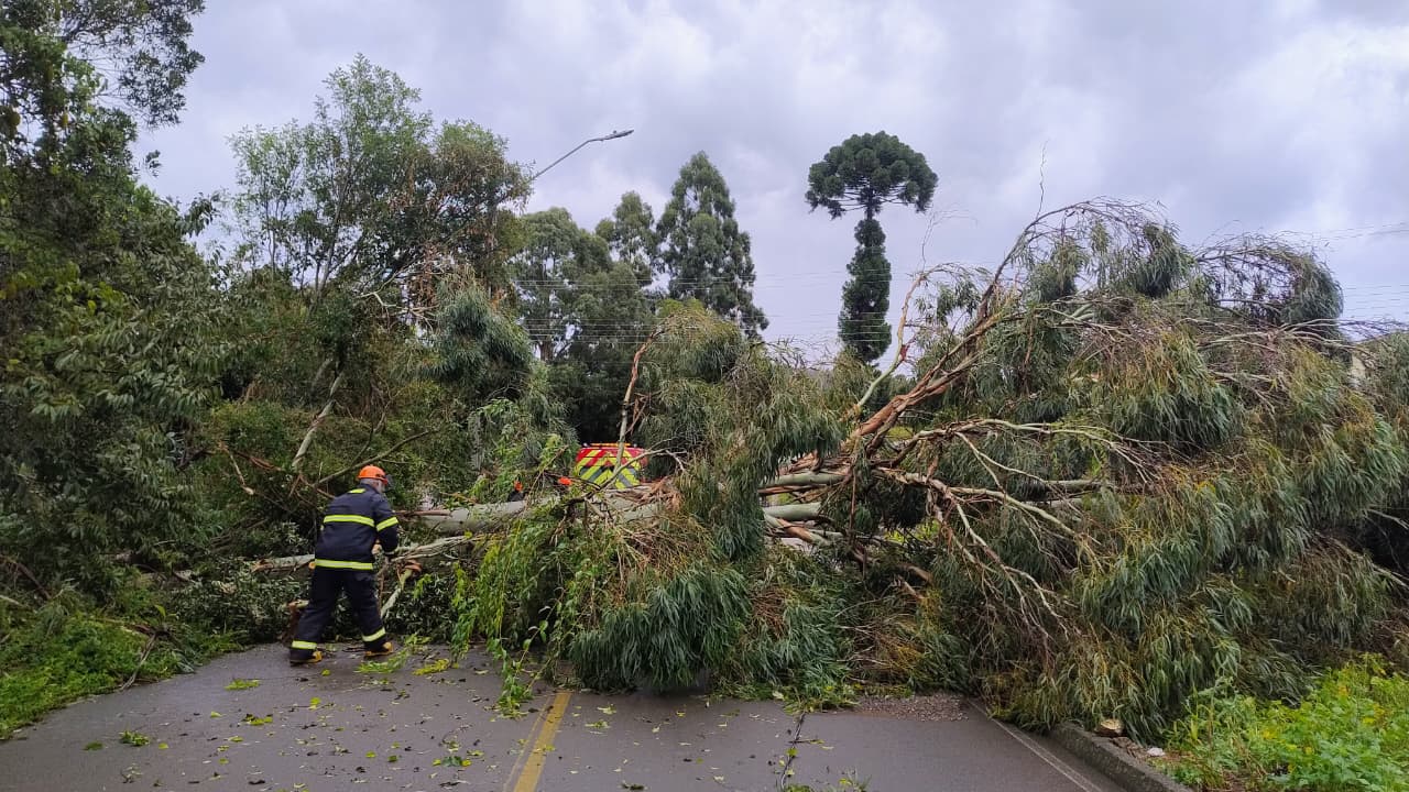 Forte temporal atinge Irani e mobiliza Bombeiros para destelhamentos e quedas de árvores