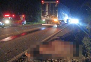 Cavalo morre após ser atingido por caminhão na SC-355 em Lebon Régis