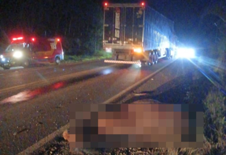Cavalo morre após ser atingido por caminhão na SC-355 em Lebon Régis