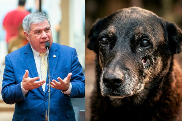 Deputado propõe CPI para investigar morte do cão Orelha