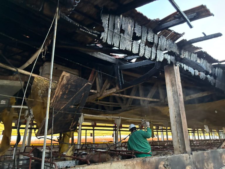 Três incêndios mobilizam bombeiros em menos de 12 horas na região