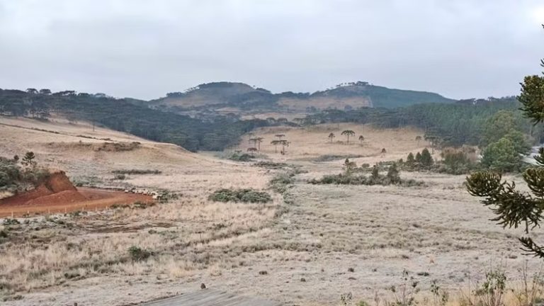 Municípios da região registram temperaturas negativas e geada; veja o ranking dos lugares mais frios