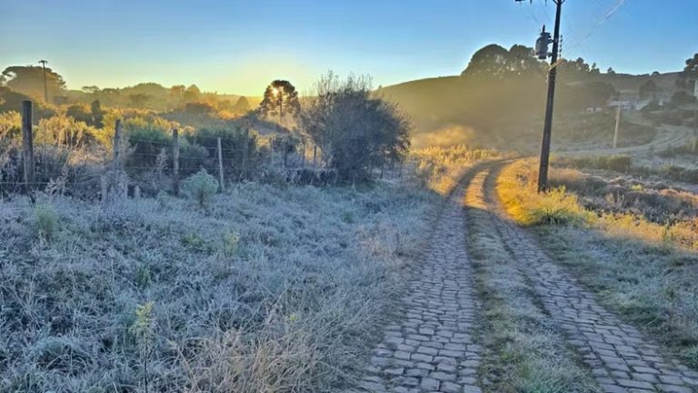 Santa Catarina registra -7,7°C neste domingo; manhã teve geada em várias cidades