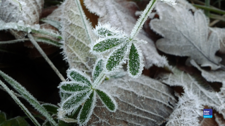 Frio congelante em pleno setembro traz marcas de até -6,1 °C em Santa Catarina
