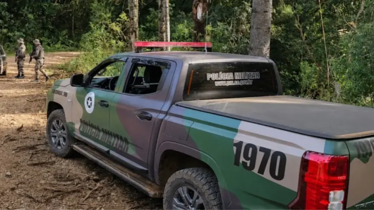 Polícia Militar Ambiental realiza cerco para resgatar onça em Campos Novos e faz alerta à população