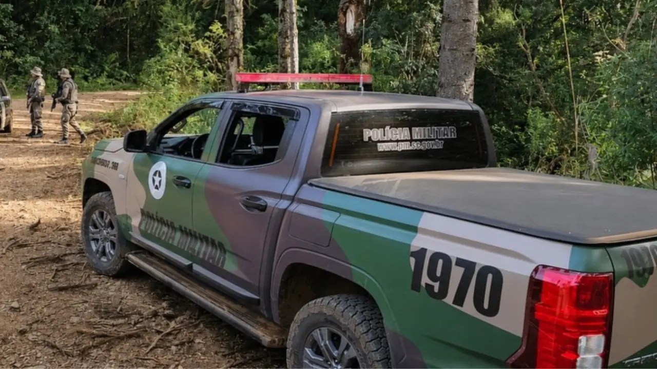 Polícia Militar Ambiental realiza cerco para resgatar onça em Campos Novos e faz alerta à população
