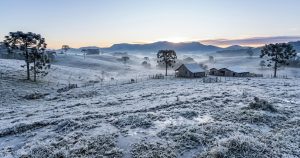 SC amanhece congelante nesta quarta-feira com temperaturas de até -9,1ºC; veja o ranking
