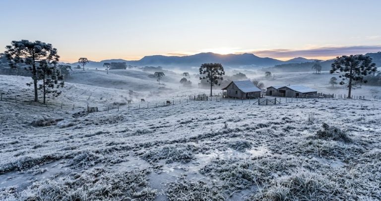SC amanhece congelante nesta quarta-feira com temperaturas de até -9,1ºC; veja o ranking