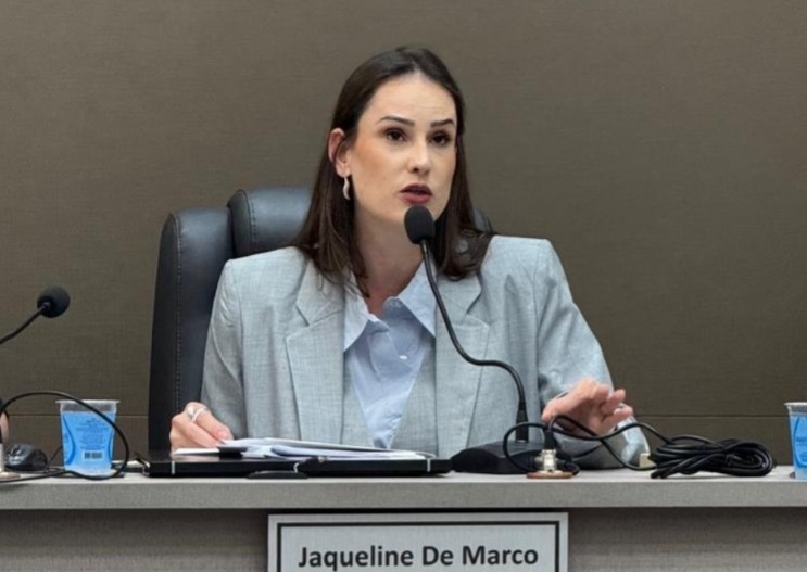 Presidente da Câmara cobra informações sobre ações de prevenção em áreas afetadas pelas chuvas em Joaçaba