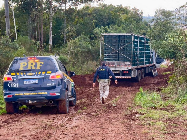 Caminhão atola e PRF apreende quase 1 tonelada de maconha em Passo Fundo