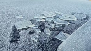 Frio intenso e negativas marcam amanhecer em Santa Catarina; Cidades da região ficaram entre as mais frias do Estado