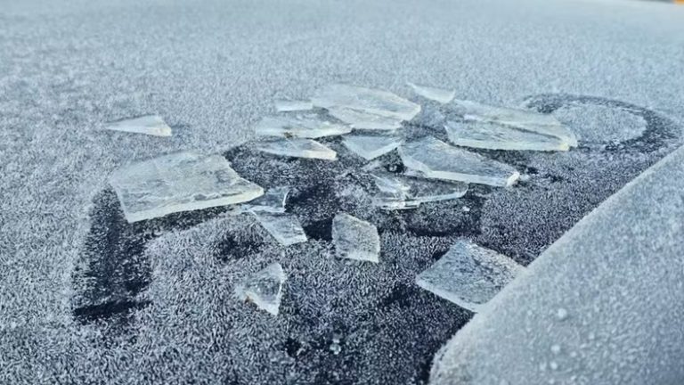 Frio intenso e negativas marcam amanhecer em Santa Catarina; Cidades da região ficaram entre as mais frias do Estado
