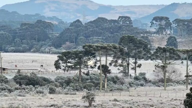 Frio intenso marca amanhecer no Meio-Oeste; cidades da região registram temperaturas negativas; veja ranking