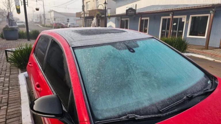 Geada e temperaturas negativas no amanhecer desta terça-feira em Santa Catarina; veja as cidades mais frias