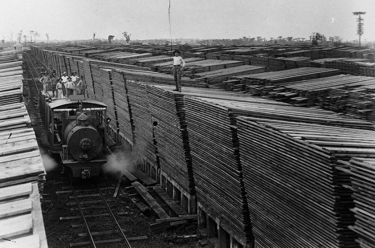 Projeto “Caminho do Contestado” busca transformar ferrovia abandonada em grande rota turística