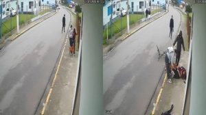 Jovem é atacada por pitbull em rua de SC e relata momentos de terror