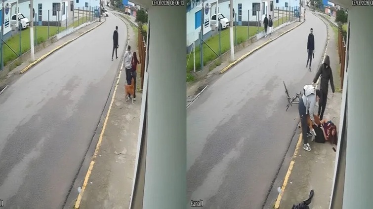Jovem é atacada por pitbull em rua de SC e relata momentos de terror