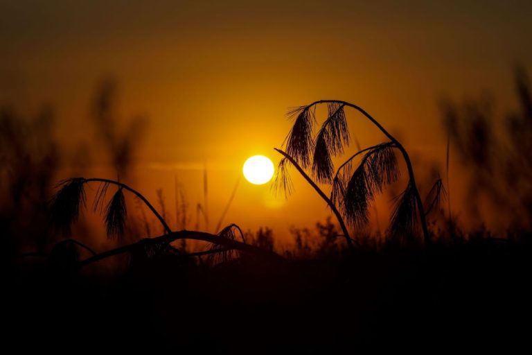 Cara de verão: Região terá calor acima dos 30°C; veja a previsão para esta semana