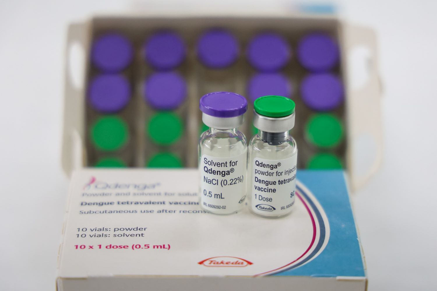 Saúde de SC reforça que vacinação contra a dengue continua em adolescentes
