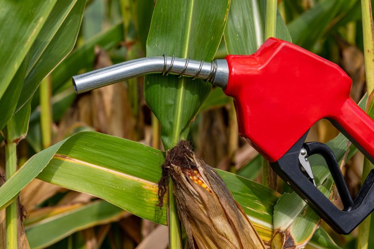 Governo eleva etanol na gasolina para 32%