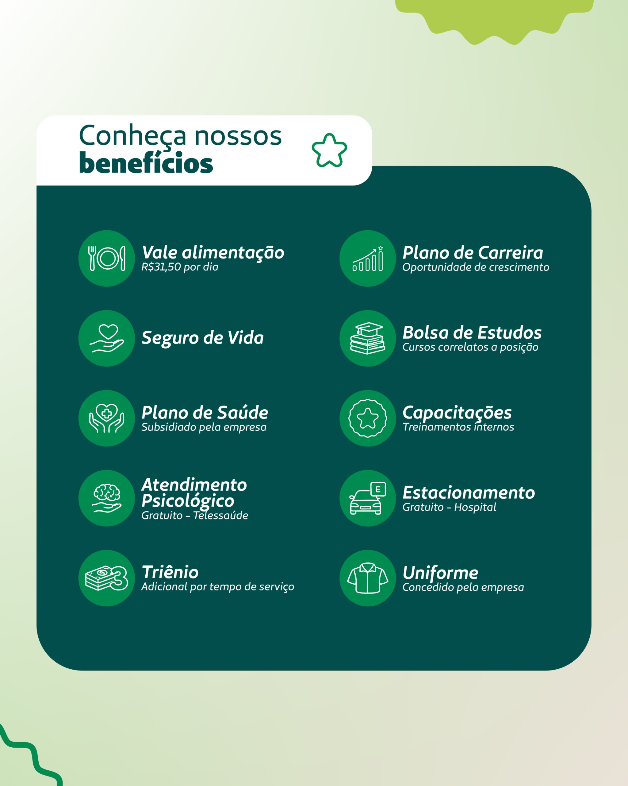 ANALISTA DE CULTURA ORGANIZACIONAL