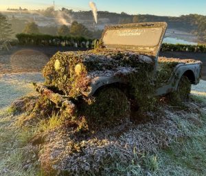 Santa Catarina tem -6ºC e amanhece com frio intenso