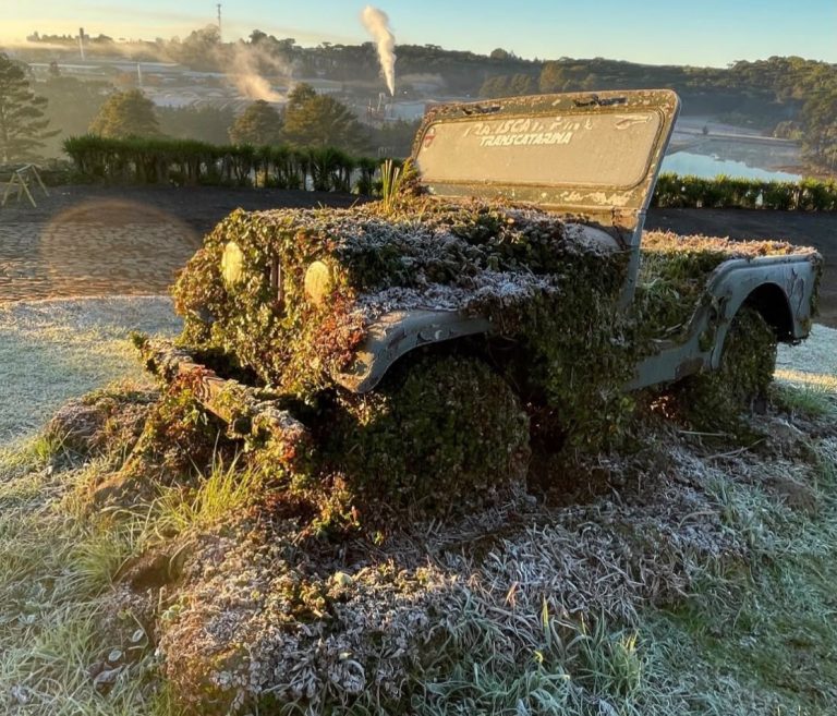 Santa Catarina tem -6ºC e amanhece com frio intenso