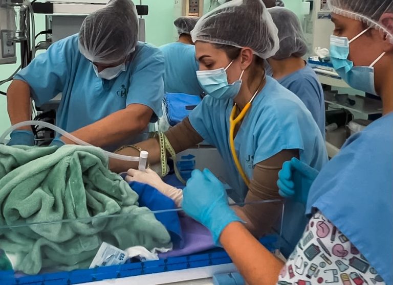 Nascimento de trigêmeos no HUST emociona e reforça a importância da UTI Neonatal para Joaçaba e região