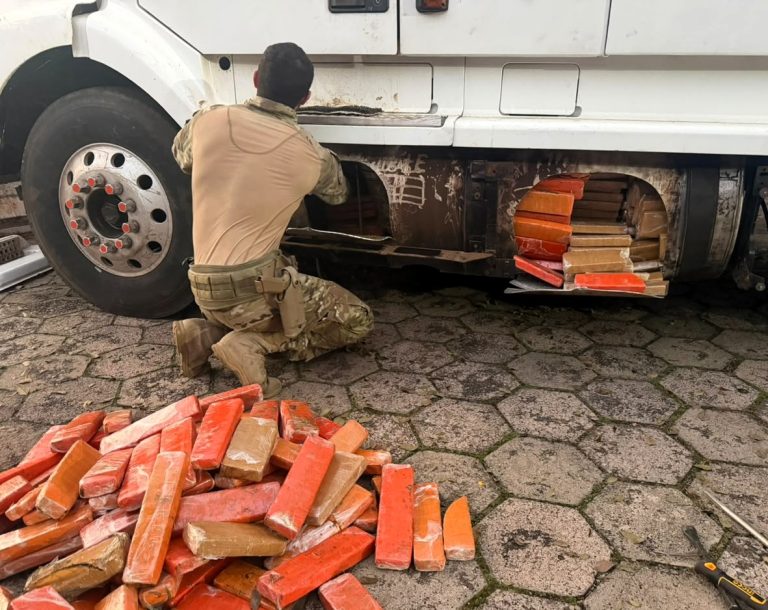 Cão farejador ajuda PRF a localizar mais de 580 quilos de maconha escondidos em carreta no Oeste de SC