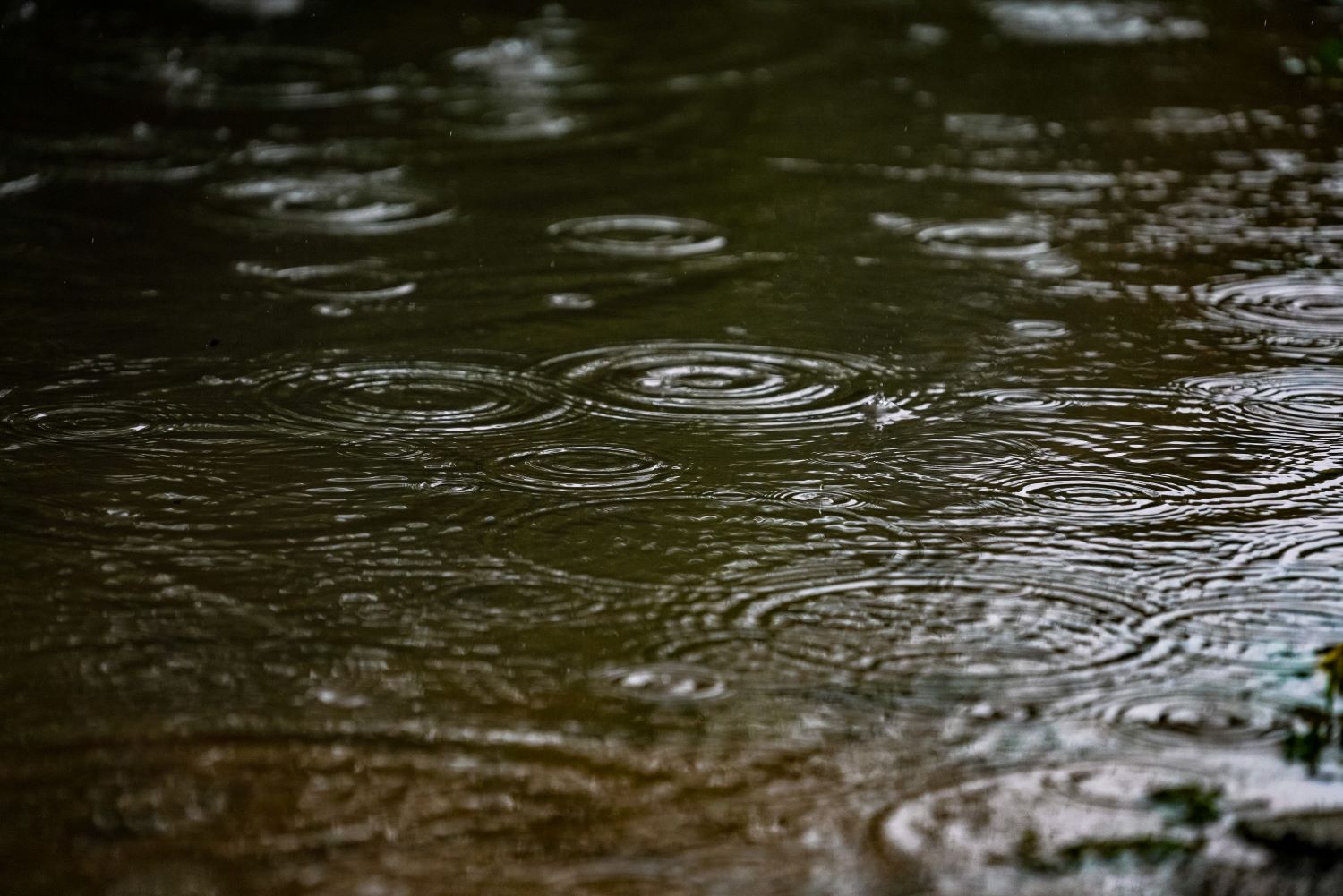 Cidades da região concentram os maiores volumes de chuva em Santa Catarina