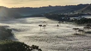 SC amanhece com geada e temperaturas negativas