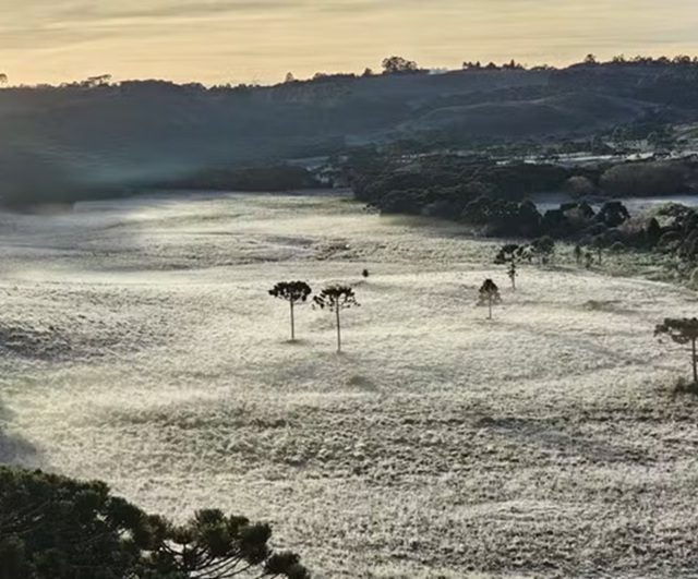 SC amanhece com geada e temperaturas negativas