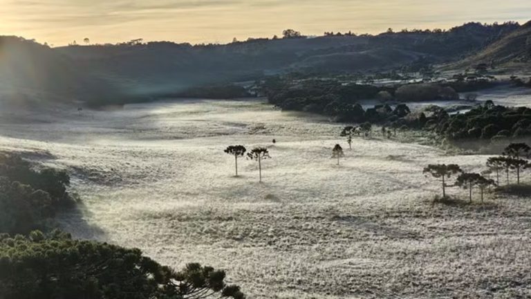 SC amanhece com geada e temperaturas negativas