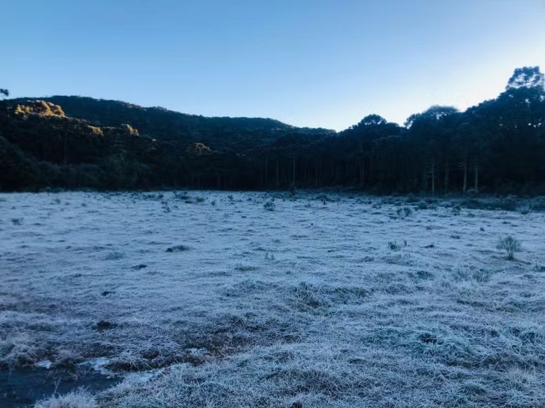 Sábado congelante: Dia amanhece com temperaturas negativas e geada