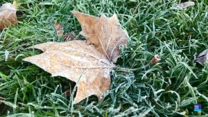 Frio intenso derruba temperaturas em Santa Catarina