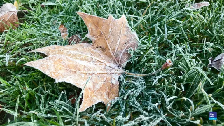 Frio intenso derruba temperaturas em Santa Catarina