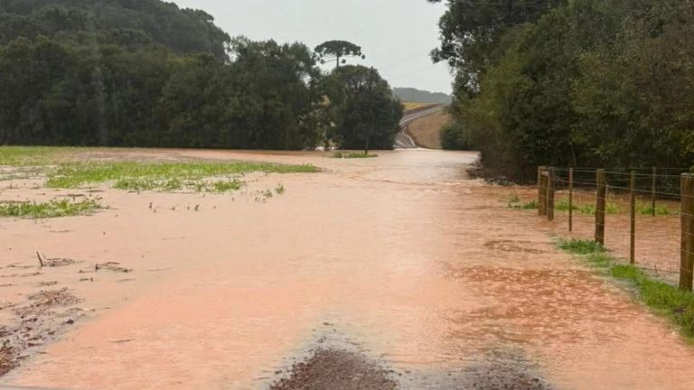 Chuva intensa provoca alagamentos, deslizamentos e transtornos em municípios do Meio-Oeste catarinense