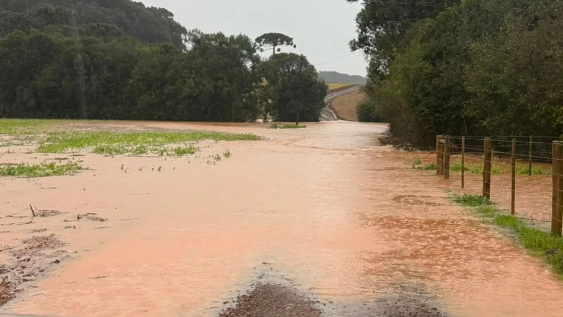 Chuva intensa provoca alagamentos, deslizamentos e transtornos em municípios do Meio-Oeste catarinense