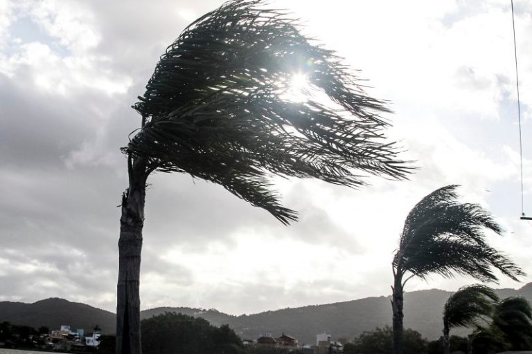 Defesa Civil atualiza alerta e intensifica aviso para ventos fortes no Grande Oeste de Santa Catarina