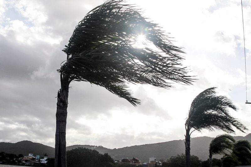 Defesa Civil atualiza alerta e intensifica aviso para ventos fortes no Grande Oeste de Santa Catarina