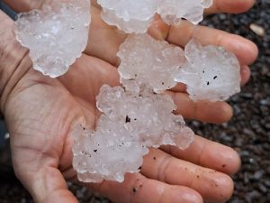 Chuvas: Mais de 40 cidades registram ocorrências em SC; Defesa Civil avalia tornado