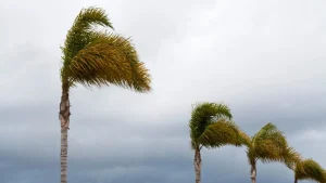Alerta do tempo: frente fria traz tempestades, ventos de até 100 km/h e virada térmica em SC