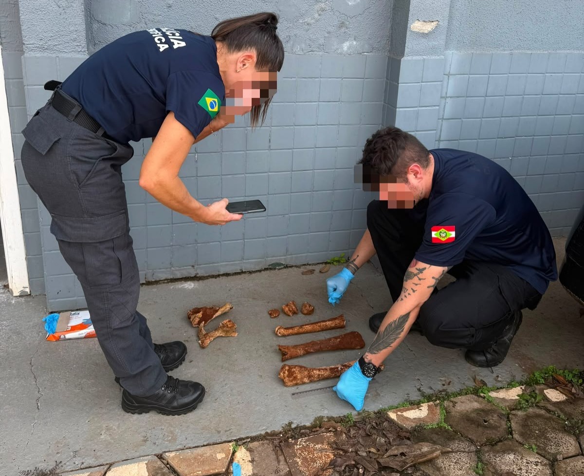 Polícia Civil esclarece localização de suposta ossada humana no Oeste