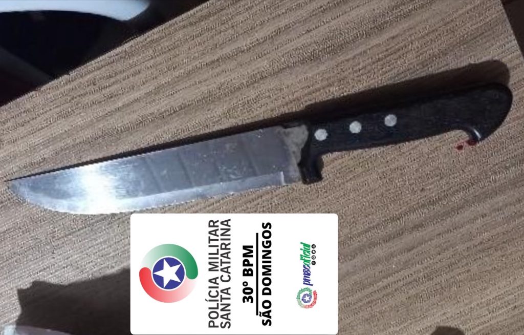 Mulher e filha de 7 anos são agredidas com socos, chutes e faca em SC