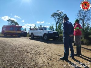 Trabalhadores são resgatados pelos bombeiros após ataque de abelhas no Meio-Oeste