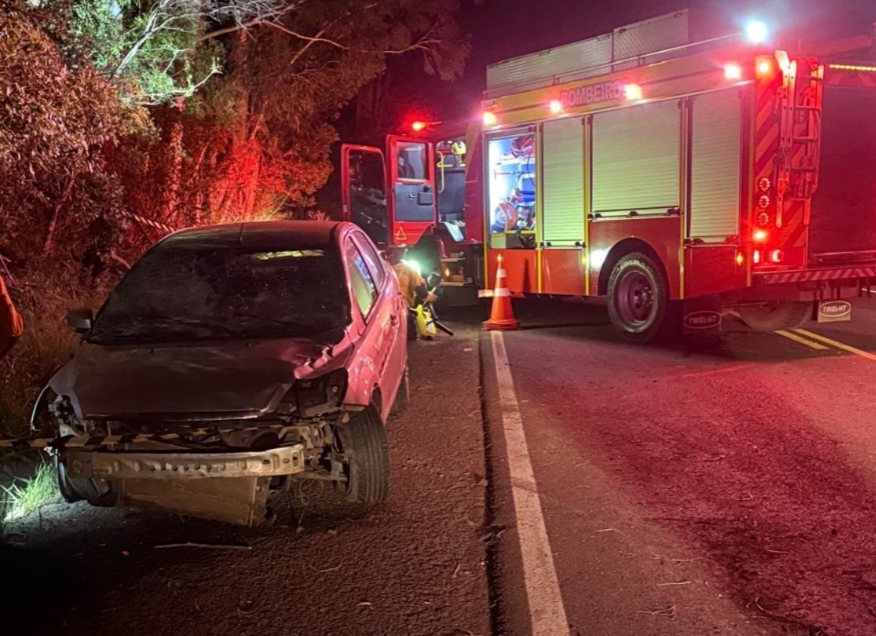 Árvore cai sobre carro e interdita SC-355 em Fraiburgo