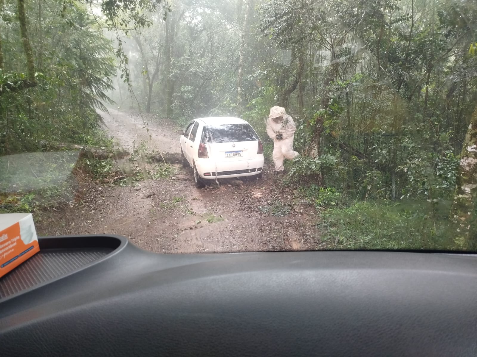 Carro fica preso sobre árvore caída com colmeia de abelhas no interior do tronco no Paraná